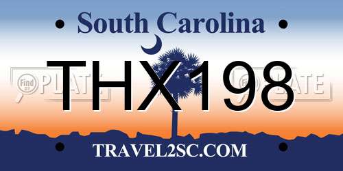 THX198 South Carolina License Plate