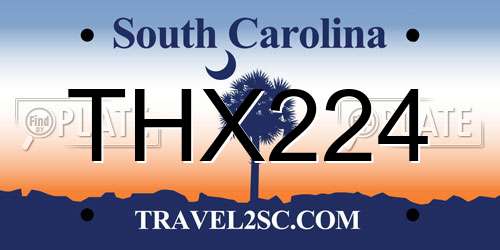 THX224 South Carolina License Plate
