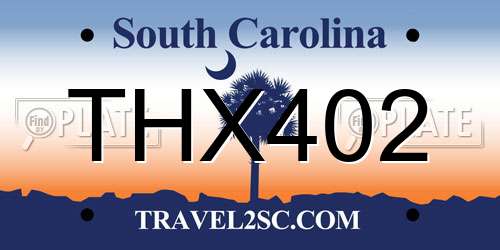 THX402 South Carolina License Plate