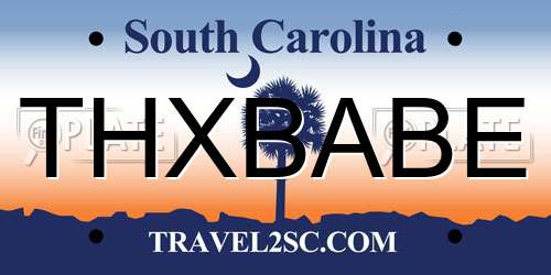 THXBABE South Carolina License Plate