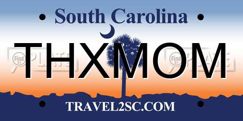 THXMOM South Carolina License Plate