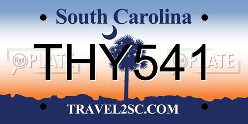 THY541 South Carolina License Plate