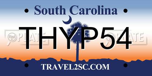 THYP54 South Carolina License Plate
