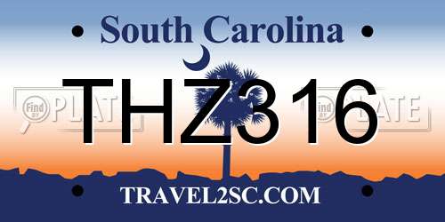 THZ316 South Carolina License Plate