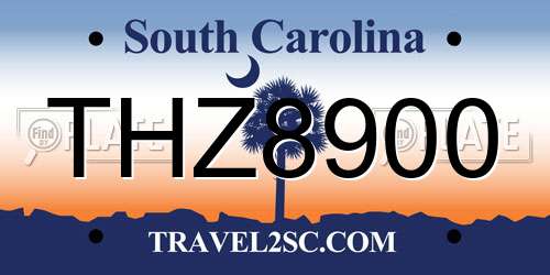 THZ8900 South Carolina License Plate