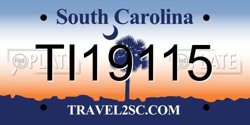 TI19115 South Carolina License Plate