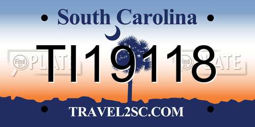 TI19118 South Carolina License Plate