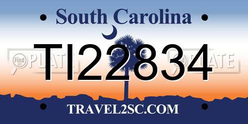 TI22834 South Carolina License Plate