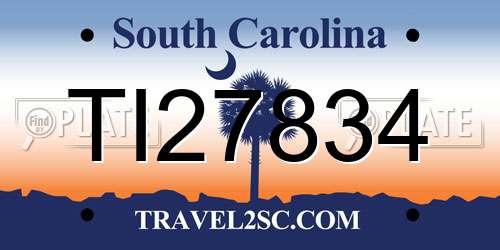 TI27834 South Carolina License Plate