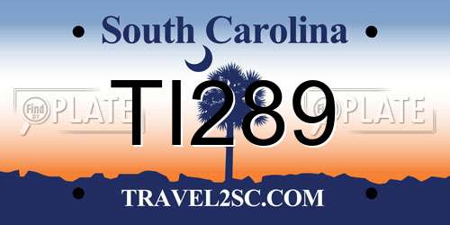TI289 South Carolina License Plate