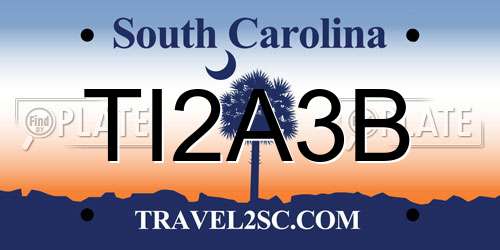 TI2A3B South Carolina License Plate