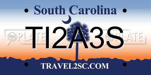 TI2A3S South Carolina License Plate