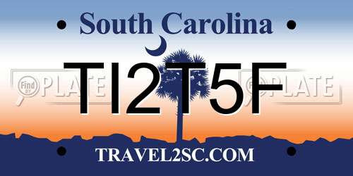 TI2T5F South Carolina License Plate