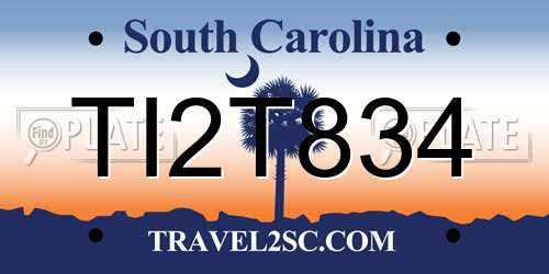 TI2T834 South Carolina License Plate