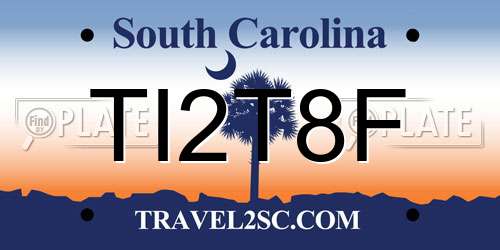 TI2T8F South Carolina License Plate