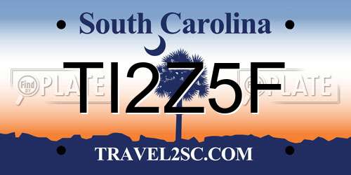 TI2Z5F South Carolina License Plate