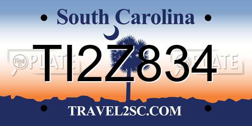 TI2Z834 South Carolina License Plate