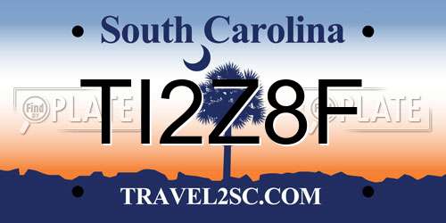 TI2Z8F South Carolina License Plate