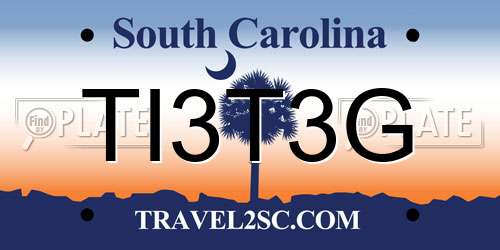 TI3T3G South Carolina License Plate