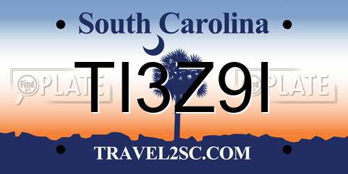 TI3Z9I South Carolina License Plate