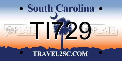 TI729 South Carolina License Plate