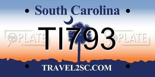 TI793 South Carolina License Plate