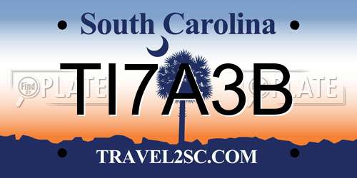 TI7A3B South Carolina License Plate