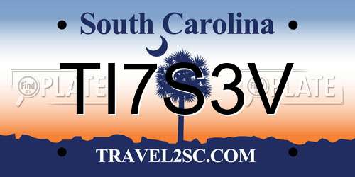 TI7S3V South Carolina License Plate