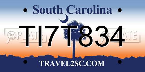 TI7T834 South Carolina License Plate