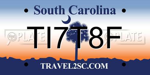 TI7T8F South Carolina License Plate
