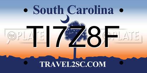 TI7Z8F South Carolina License Plate