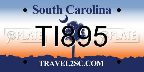 TI895 South Carolina License Plate