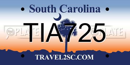 TIA725 South Carolina License Plate