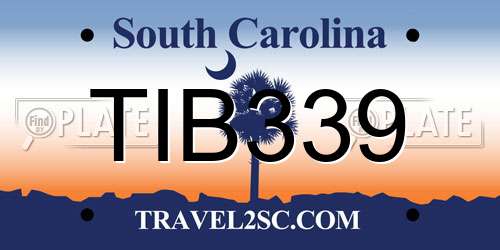 TIB339 South Carolina License Plate
