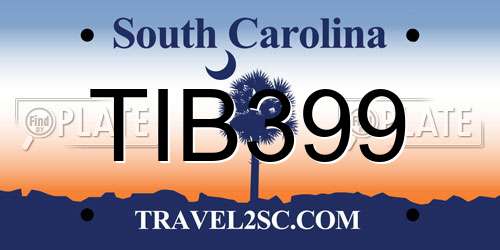 TIB399 South Carolina License Plate