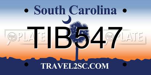 TIB547 South Carolina License Plate