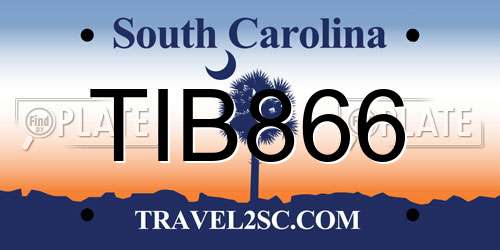 TIB866 South Carolina License Plate