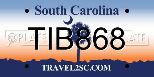 TIB868 South Carolina License Plate