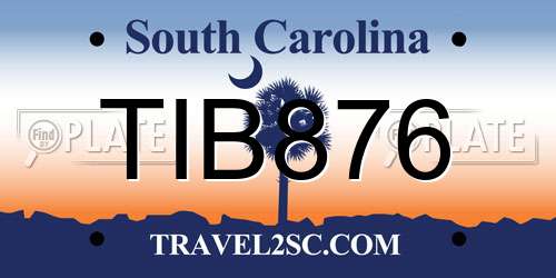 TIB876 South Carolina License Plate