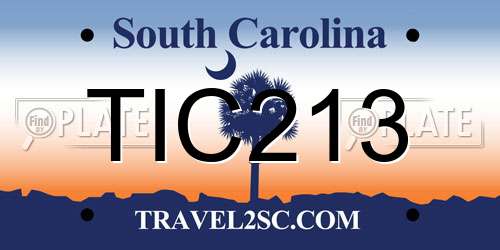 TIC213 South Carolina License Plate