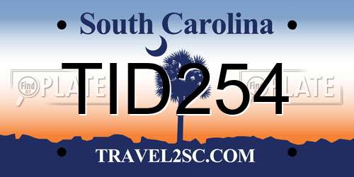 TID254 South Carolina License Plate