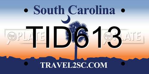 TID613 South Carolina License Plate