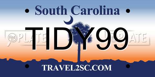 TIDY99 South Carolina License Plate