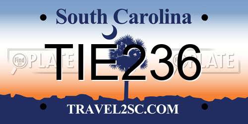 TIE236 South Carolina License Plate