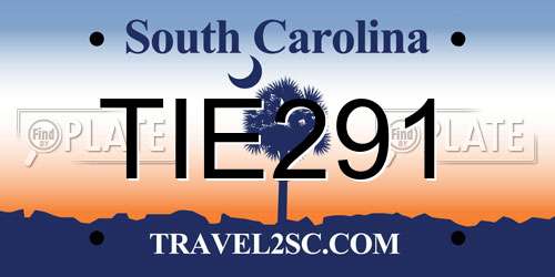 TIE291 South Carolina License Plate