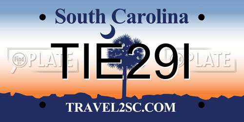 TIE29I South Carolina License Plate