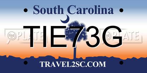 TIE73G South Carolina License Plate