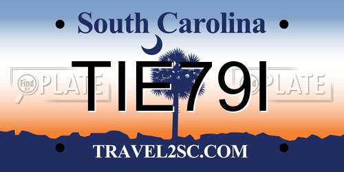TIE79I South Carolina License Plate