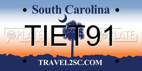 TIET91 South Carolina License Plate