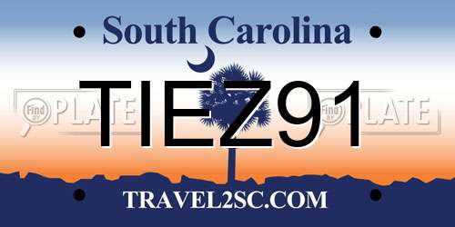 TIEZ91 South Carolina License Plate